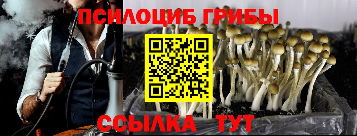 Галлюциногенные грибы мицелий Чистополь