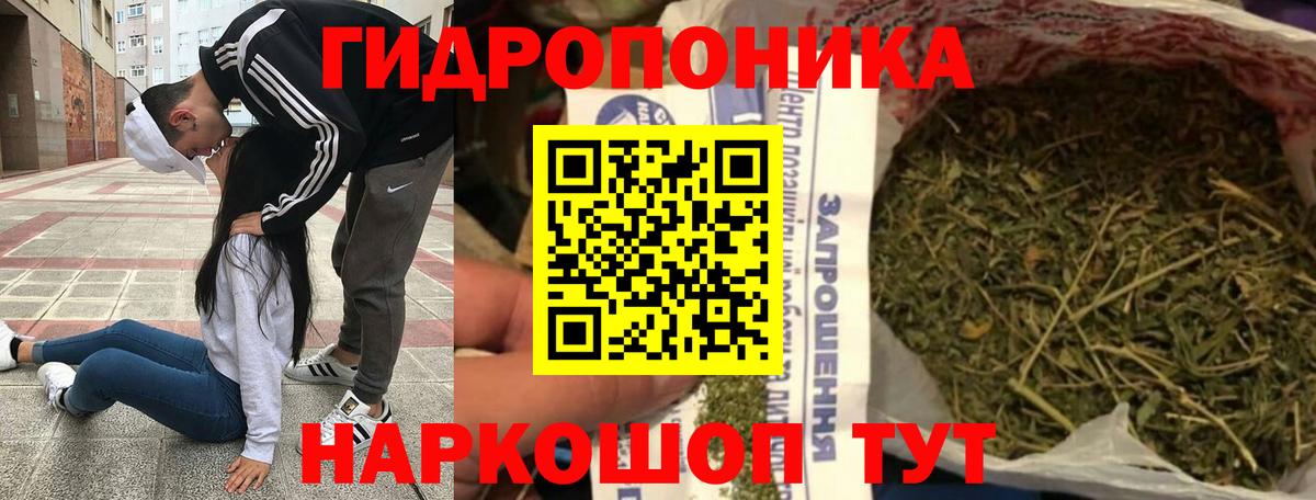 Конопля White Widow  Вход с VPN  Конопля план  Чистополь 